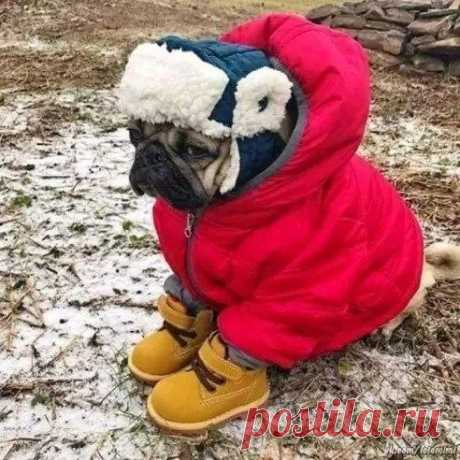 Ну когда уже весна наступит))