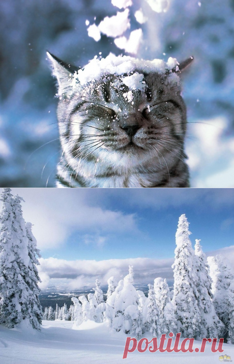 Зимние фото_обои на рабочий стол