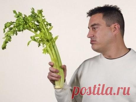 Корень сельдерея для мужчин