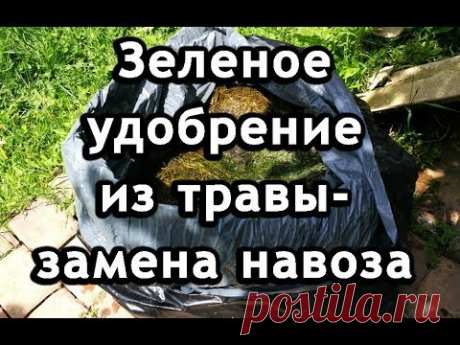 Зеленое удобрение из травы - замена навоза. Органическое удобрение.