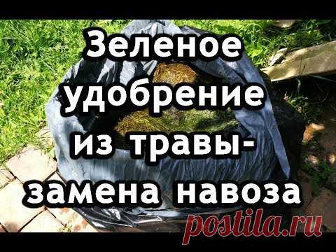 Зеленое удобрение из травы - замена навоза. Органическое удобрение.