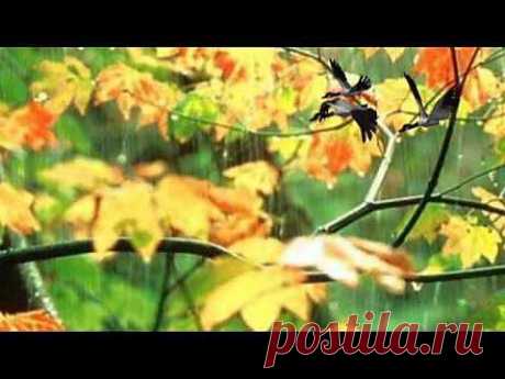 Осенняя мелодия mpg ( Анна Резникова) - YouTube