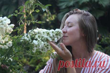 Вернулись на родину после двухмесячного путешествия по Грузии: наши впечатления, мысли и планы
Здравствуйте, дорогие читатели! Благодарю каждого из вас, что вы до сих пор со мной, несмотря на то, что два месяца мы были в путешествии; несмотря на то, что тематика моего канала временно сменилась с интерьерно-ремонтной на развлекательный контент про отпуск; спасибо за ваши просмотры, дочитывания и комментарии! Вы помогли мне оставаться на плаву и не […]
Читай дальше на сайте. Жми подробнее ➡