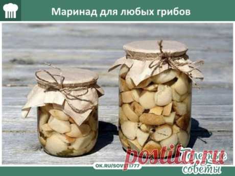 Ловите, хозяюшки вы мои!) Маринад для любых грибов.
1 литр воды; 
2 ст. л. сахара; 
4 ч. л. соли; 
3 шт. лаврового листа; 
6 горошин душистого перца; 
4 шт. гвоздики; 
3 кусочка корицы (молотой ½ ч. л.) ; 
3 ч. л. уксусной эссенции 70 %. 
При использовании столового 5% уксуса необходимо взять 800 мл воды и 200 мл 5% уксуса. При использовании 9% уксуса - 890 мл воды и 110 мл 9% уксуса. 
ПРИГОТОВ
