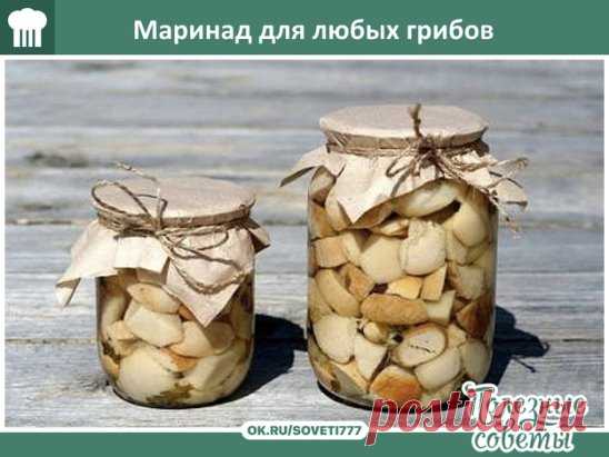 Ловите, хозяюшки вы мои!) Маринад для любых грибов.
1 литр воды; 
2 ст. л. сахара; 
4 ч. л. соли; 
3 шт. лаврового листа; 
6 горошин душистого перца; 
4 шт. гвоздики; 
3 кусочка корицы (молотой ½ ч. л.) ; 
3 ч. л. уксусной эссенции 70 %. 
При использовании столового 5% уксуса необходимо взять 800 мл воды и 200 мл 5% уксуса. При использовании 9% уксуса - 890 мл воды и 110 мл 9% уксуса. 
ПРИГОТОВ