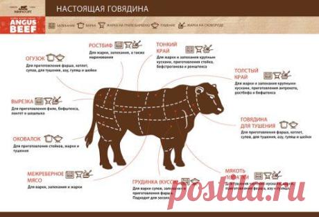 Все мы любим аппетитные нежные говяжьи стейки. Но приготовление той или иной части говядины имеет свои тонкости, о том как всегда добиться идеального результата, можно подробно прочесть здесь – https://www.angusbeef.ru/?utm_source=Social_Insight&amp;utm_medium=cpc&amp;utm_campaign=AngusBeef