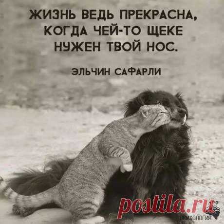 (48) Facebook