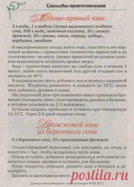 Медово-пряный квас. Дрожжевой квас из березового сока