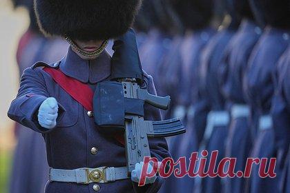 Тренировки британского спецназа САС станут реалити-шоу