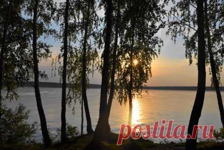 ФОТОМАСТЕРСКАЯ ПРИРОДЫ
Галина Чусовитина
