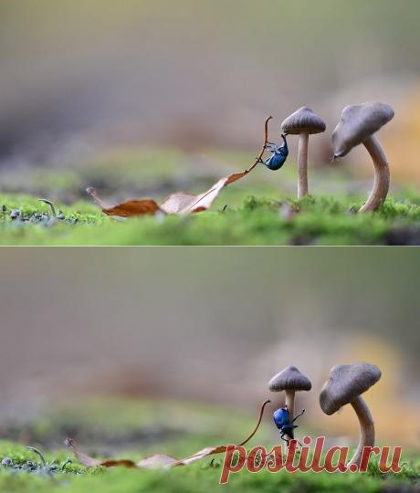 35PHOTO - Вячеслав Мищенко - Вот долезу и скажу: - довольно, милая... Тут сорвался вниз, но....