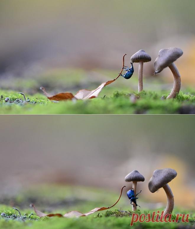 35PHOTO - Вячеслав Мищенко - Вот долезу и скажу: - довольно, милая... Тут сорвался вниз, но....