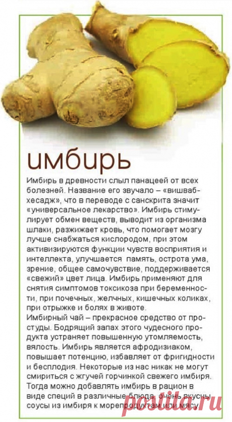 Имбирь
