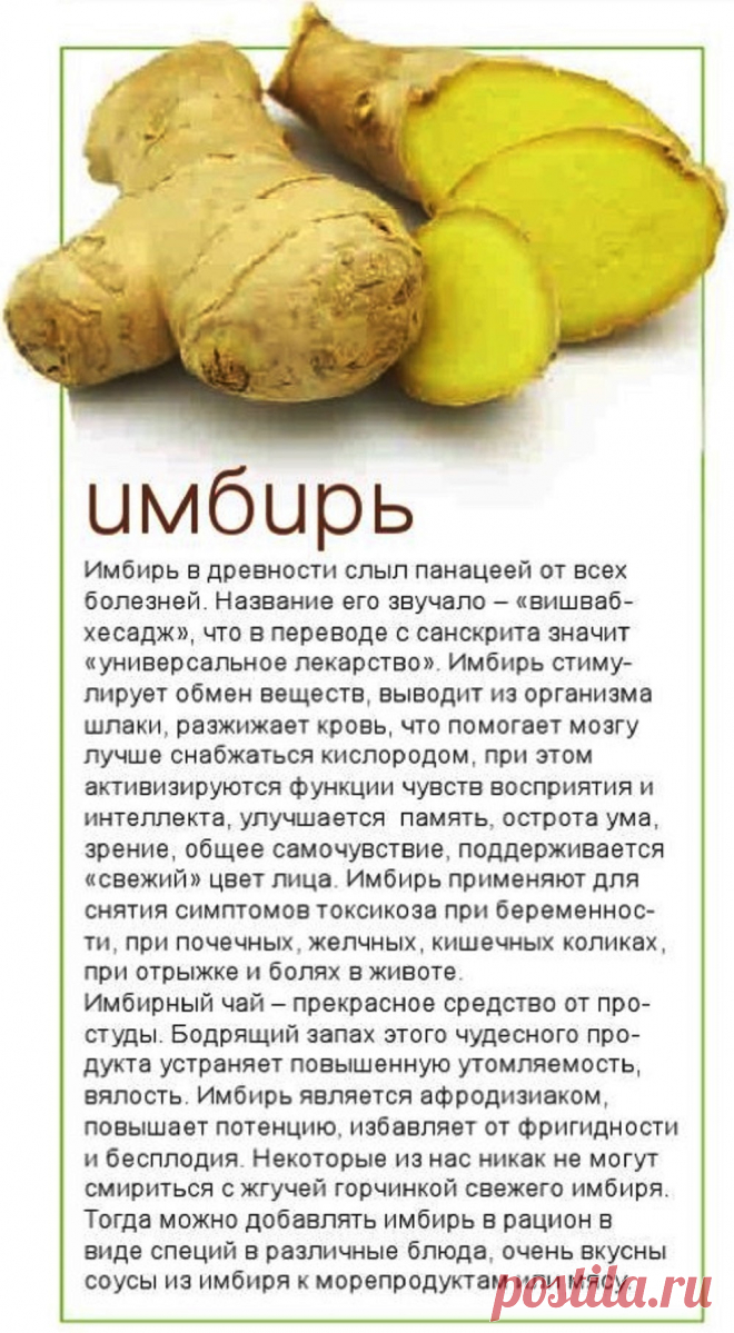 Имбирь