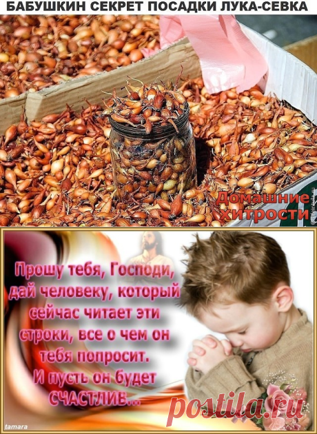 СЕВОК