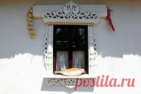 Первый фестиваль рыбы и раков в Атамани - Новости Общества - Новости Mail.Ru