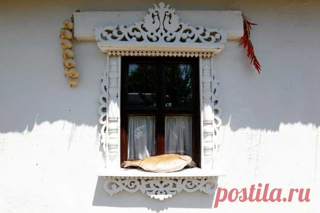 Первый фестиваль рыбы и раков в Атамани - Новости Общества - Новости Mail.Ru