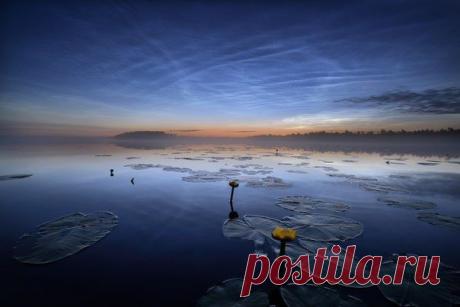 Великолепные изображения серебристых облаков 23 июля 2015 в Финляндии. / Социальная погода