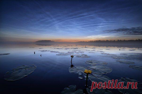 Великолепные изображения серебристых облаков 23 июля 2015 в Финляндии. / Социальная погода