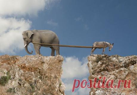 Ссорьтесь на здоровье! Но грамотно) - rastimul.com.ua