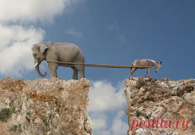 Ссорьтесь на здоровье! Но грамотно) - rastimul.com.ua