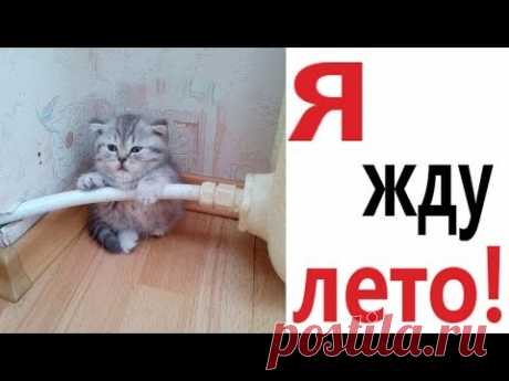 Лютые приколы. Я ЖДУ ЛЕТО!!! Ржака до слёз! Самое смешное видео! – Domi Show!