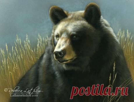 Блог | Картины дикой природы и природы Ребекки Лэтэм