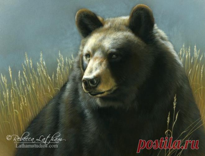 Блог | Картины дикой природы и природы Ребекки Лэтэм