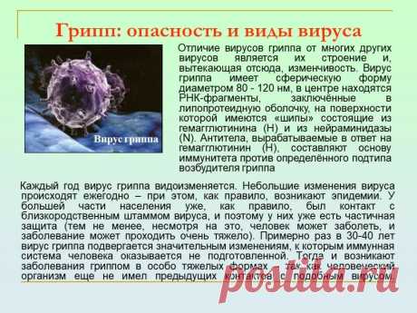 коронавирус встретился с гриппом: 1 тыс изображений найдено в Яндекс.Картинках