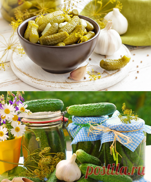Солёные огурцы – Рецепты солёных огурцов на зиму. Заготовки на зиму