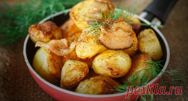 Картофель в рукаве к праздничному столу – вкусно, быстро и красиво! 








 


Замечательный гарнир для праздничного стола. Картофель запекается в рукаве, пропитываясь маслом и специями, и получается вкусным и умопомрачительно ароматным. К тому же, вариант приготовл…