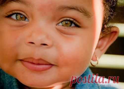 15+ Деток С Глазками Как У Кота В Сапогах, Из “Шрека”. | Лучшие истории со всего мира