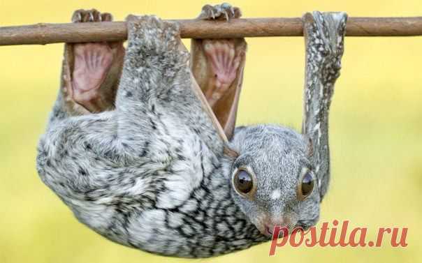 Интересные новости