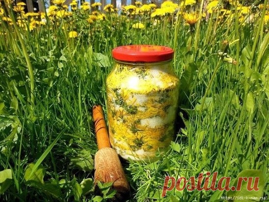 Лечение косточки на ногах одуванчиком и йодом. 
 
Помощником от болезненных шишек могут вам послужить жёлтые цветки одуванчика. Берем 100 граммов цветков одуванчика, измельчаем их и даем чуточку подсохнуть. Затем к этому лекарственному сырью прибавляем йод, притом в таком количестве, чтобы он полностью покрыл цветки одуванчика. Даем ему настояться четырнадцать дней. Только после этого лекарственное средство готово к применению. Ноги хорошенько распариваются в теплой водичке, насухо вытираются, п