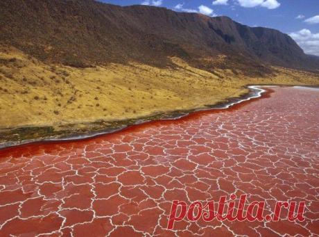 El lago Natron en la Tanzania