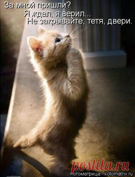 Как постирать вещь, чтобы не полиняла?