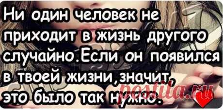 Володя: Вододя