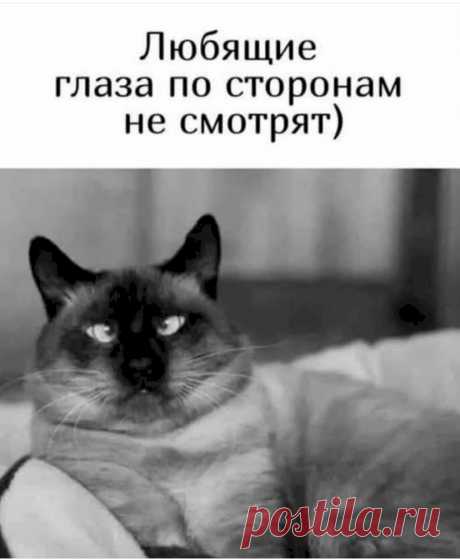 Выпуск №6415 - выпуск анекдотов сайта вокруг смеха