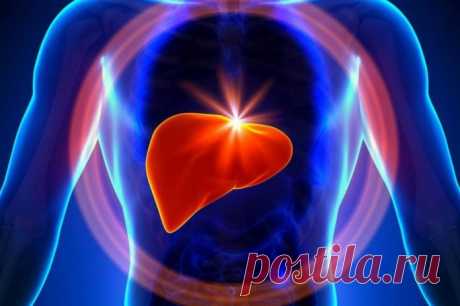 19 лучших продуктов для хорошей работы печени / Будьте здоровы