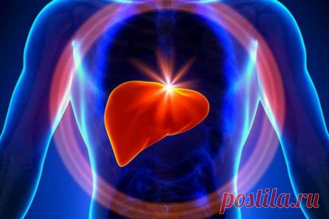 19 лучших продуктов для хорошей работы печени / Будьте здоровы