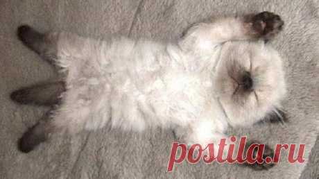 — Как прошел твой день?  — Ощущение, что он прошел по мне.