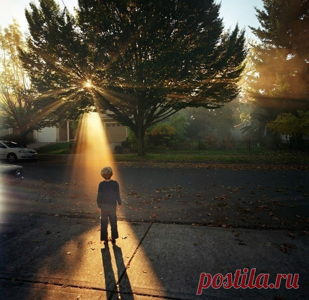 Ты должен заниматься тем, что делает тебя счастливым. Забудь о деньгах или других ловушках, которые принято считать успехом. Если ты счастлив, работая в деревенском магазине, работай. У тебя всего одна жизнь.

Карл Лагерфельд