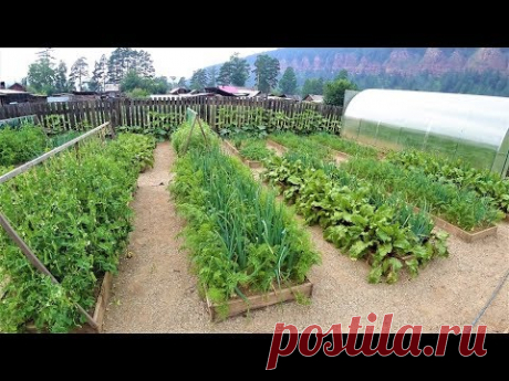 Экскурсия на супер огород мечты 2019