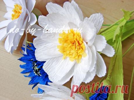 Ромашки из гофрированной бумаги своими руками, мастер класс, 30 фото