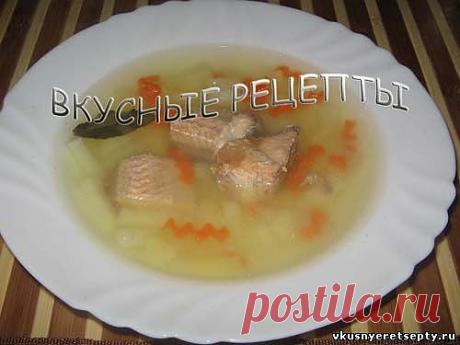 Суп из консервированного лосося рецепт - Горячие - Первые блюда - Рецепты - Вкусные рецепты