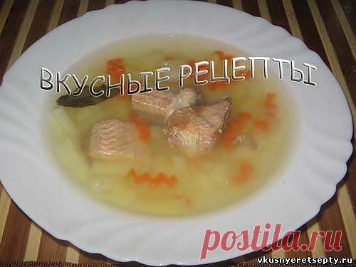 Суп из консервированного лосося рецепт - Горячие - Первые блюда - Рецепты - Вкусные рецепты