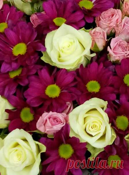 Счастья, любви и благополучия вам, милые женщины！🌺🌼🌺🌼🌺
