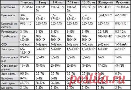 ✔ ПОЛЕЗНЫЕ СОВЕТЫ : 
СОВЕТ 1 : Клинический анализ крови. Нормы.
Поставив КЛАСС, сохраните у себя на страничке.