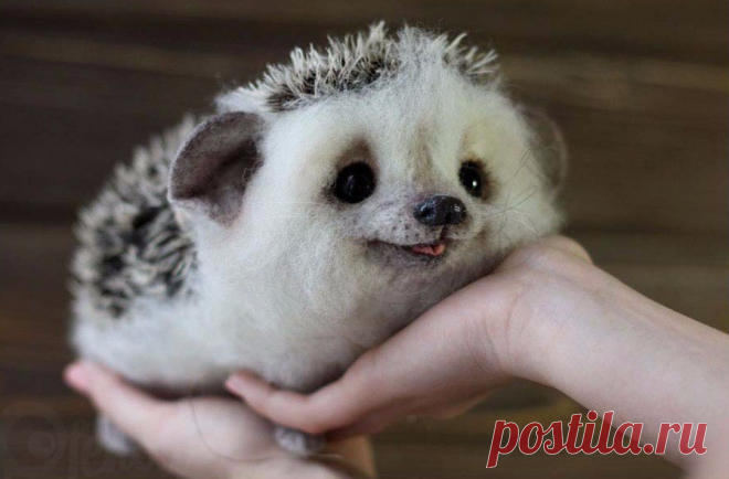 Войлочный ежик