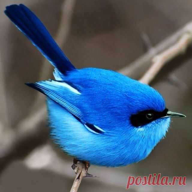 Мой Мир@Mail.Ru